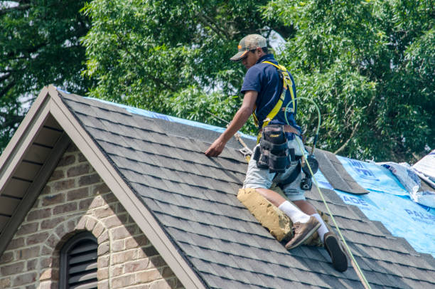 Professional Roofing Contractor in Mission, SD